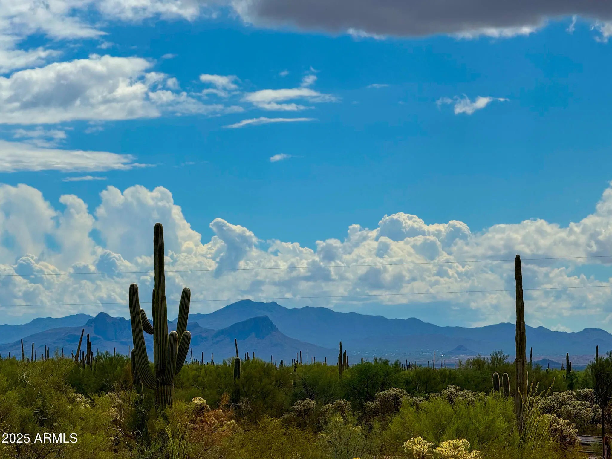 Photo of Listing #6926888