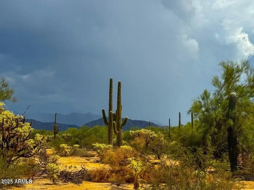 Photo of Listing #6926894