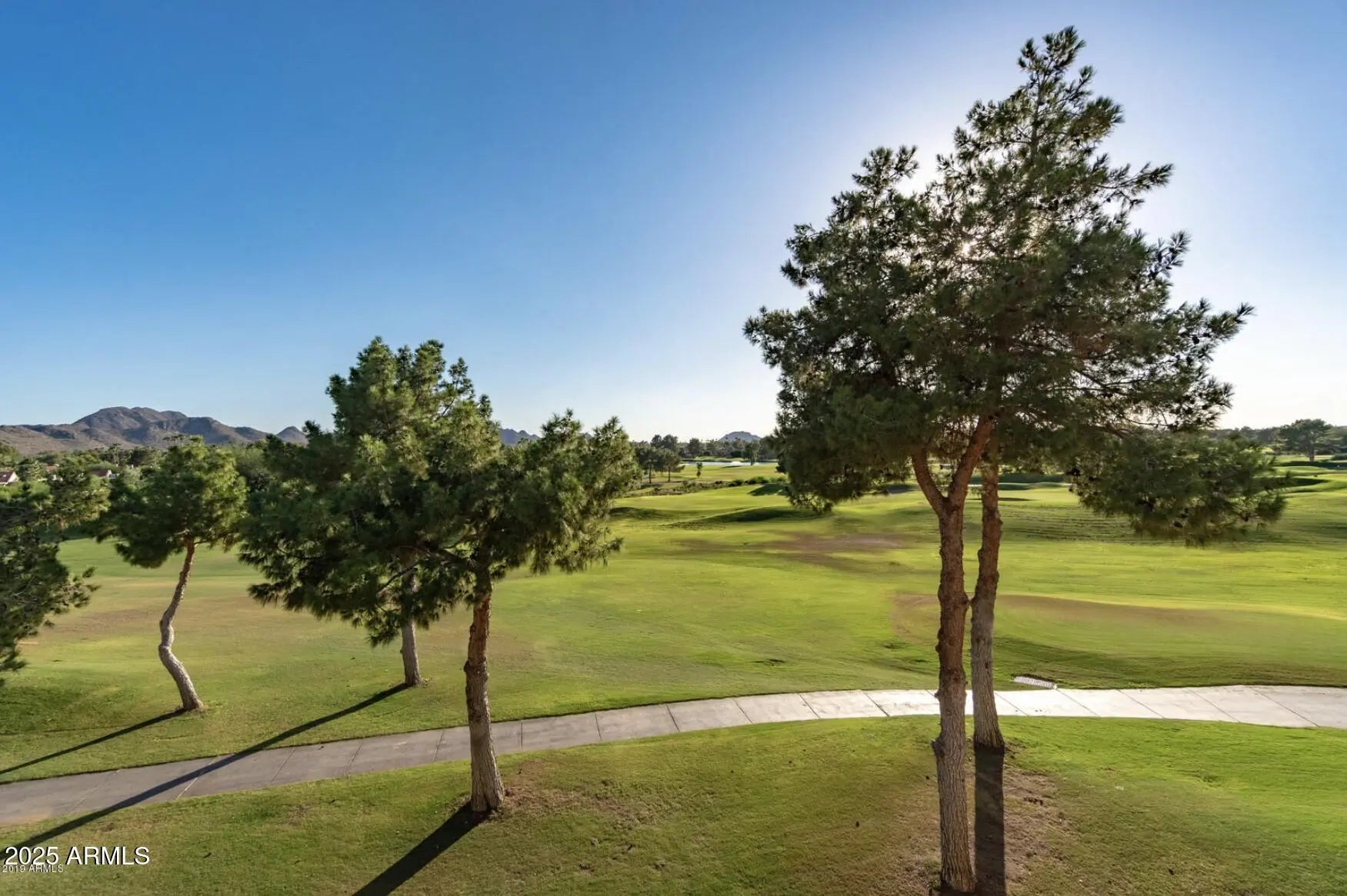 Photo of Listing #6928018