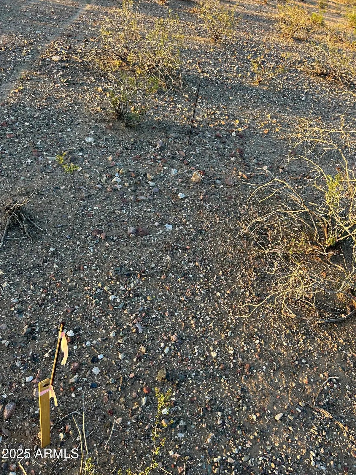 Photo of Listing #6928269