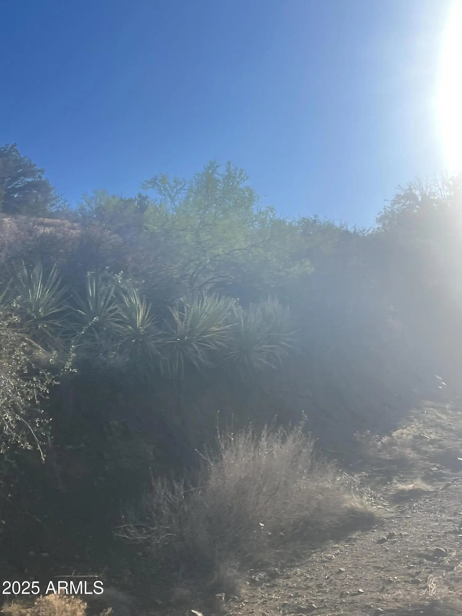 Photo of Listing #6931894