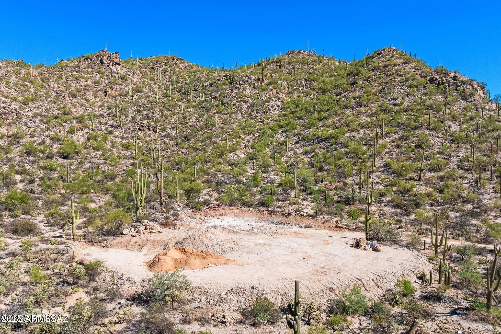 Photo of Listing #6930563