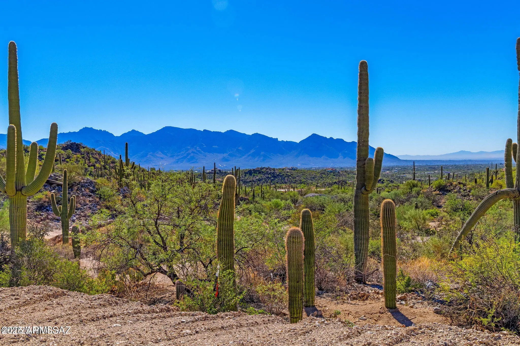 Photo of Listing #6930570