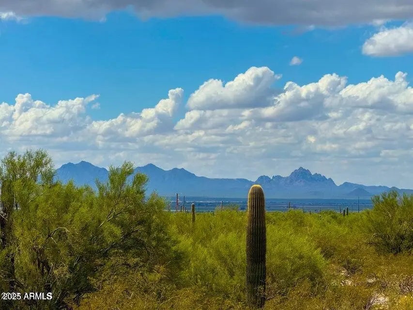 Photo of Listing #6931691