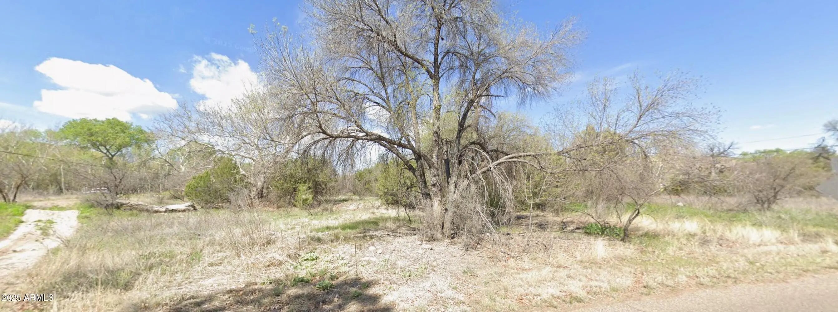 Photo of Listing #6932750