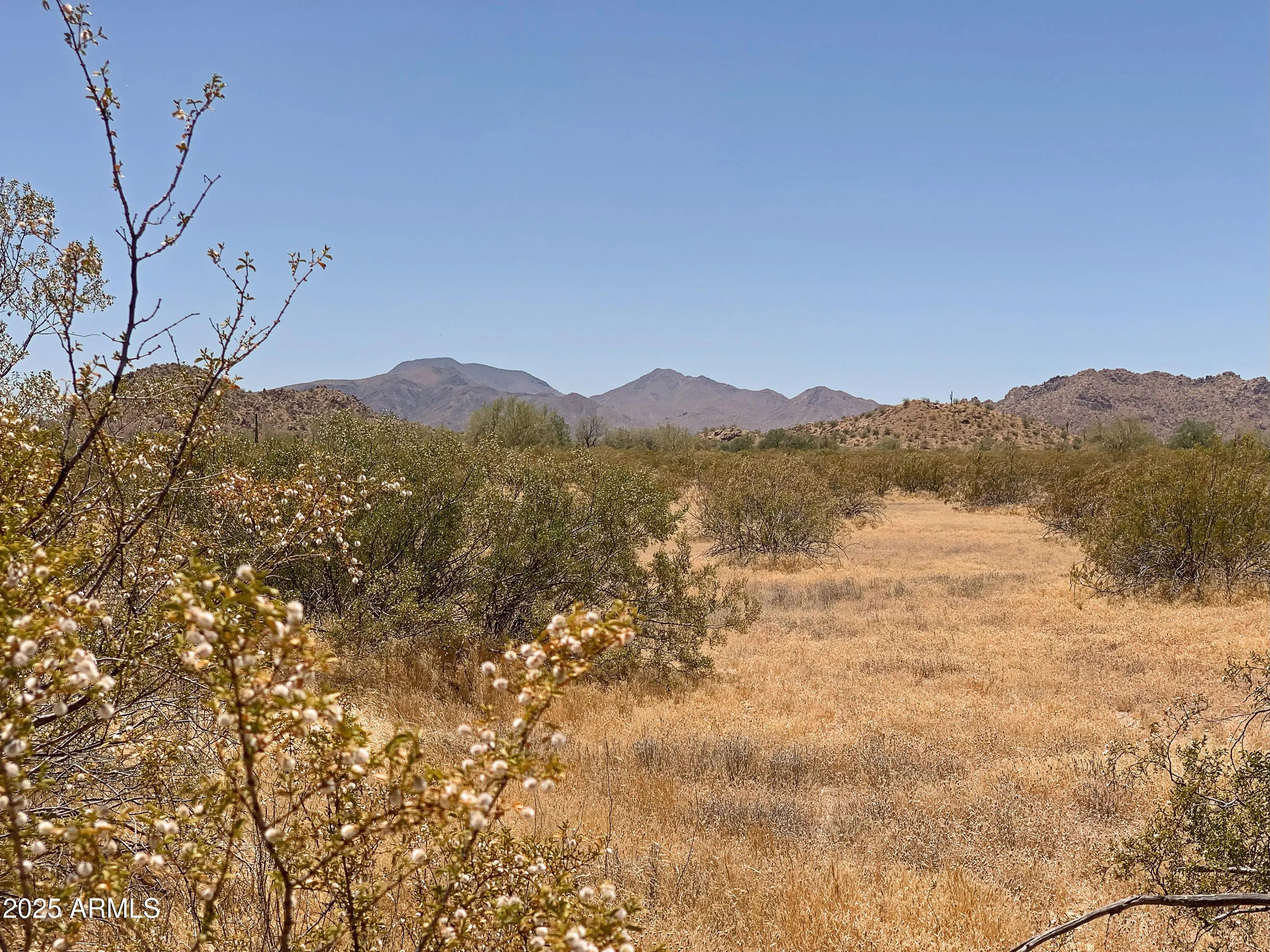 Photo of Listing #6932664