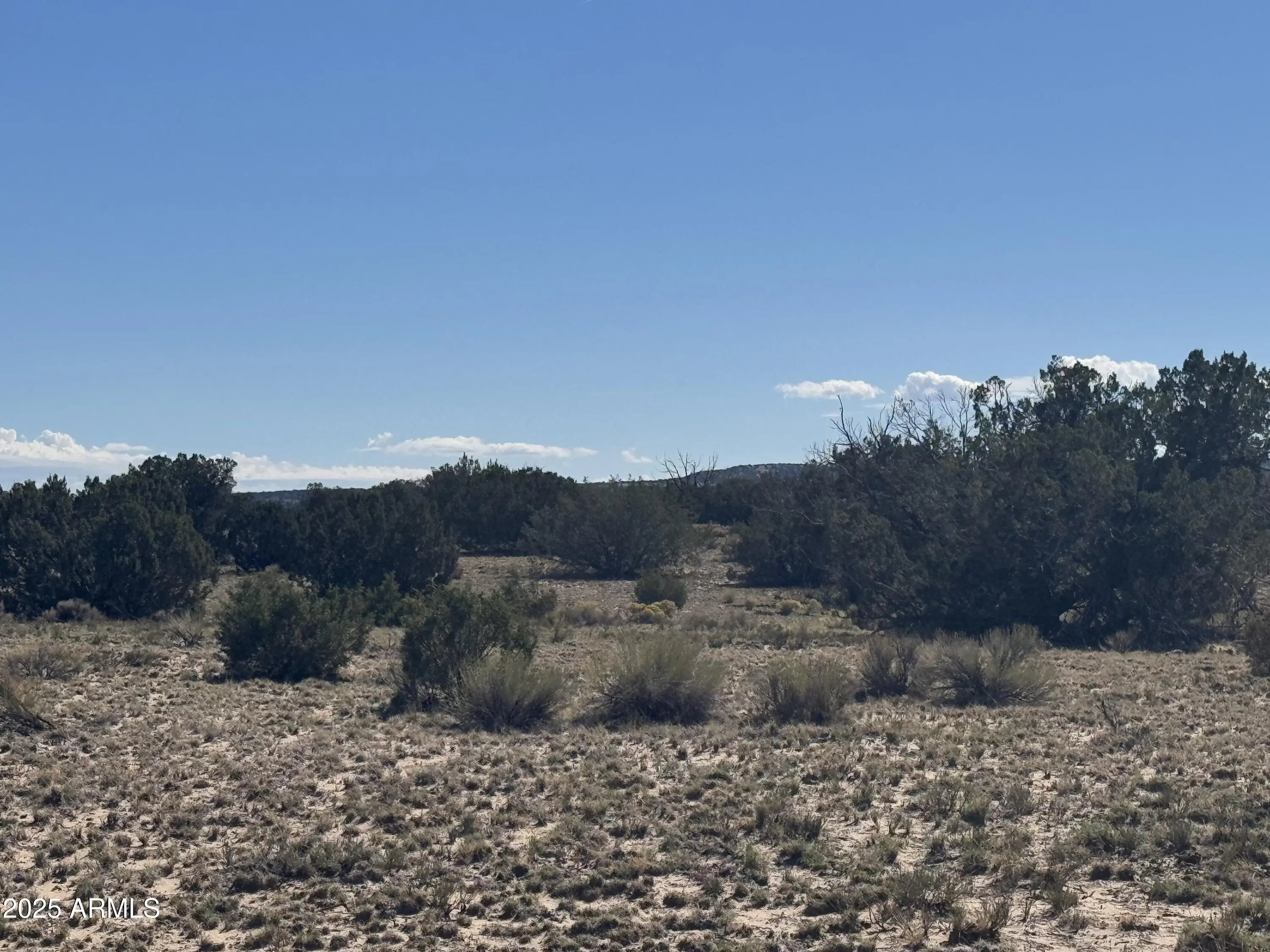 Photo of Listing #6933059