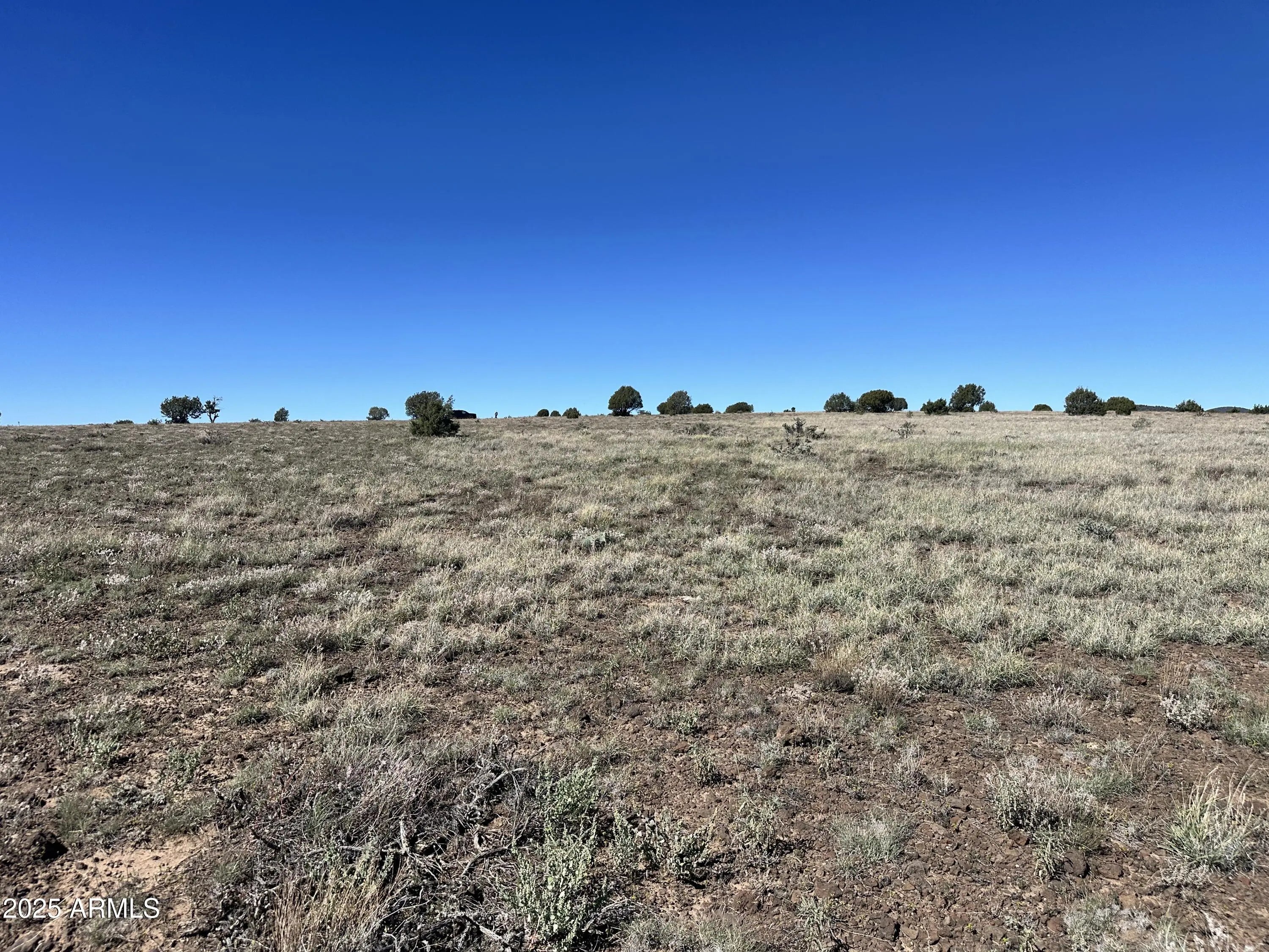 Photo of Listing #6933076