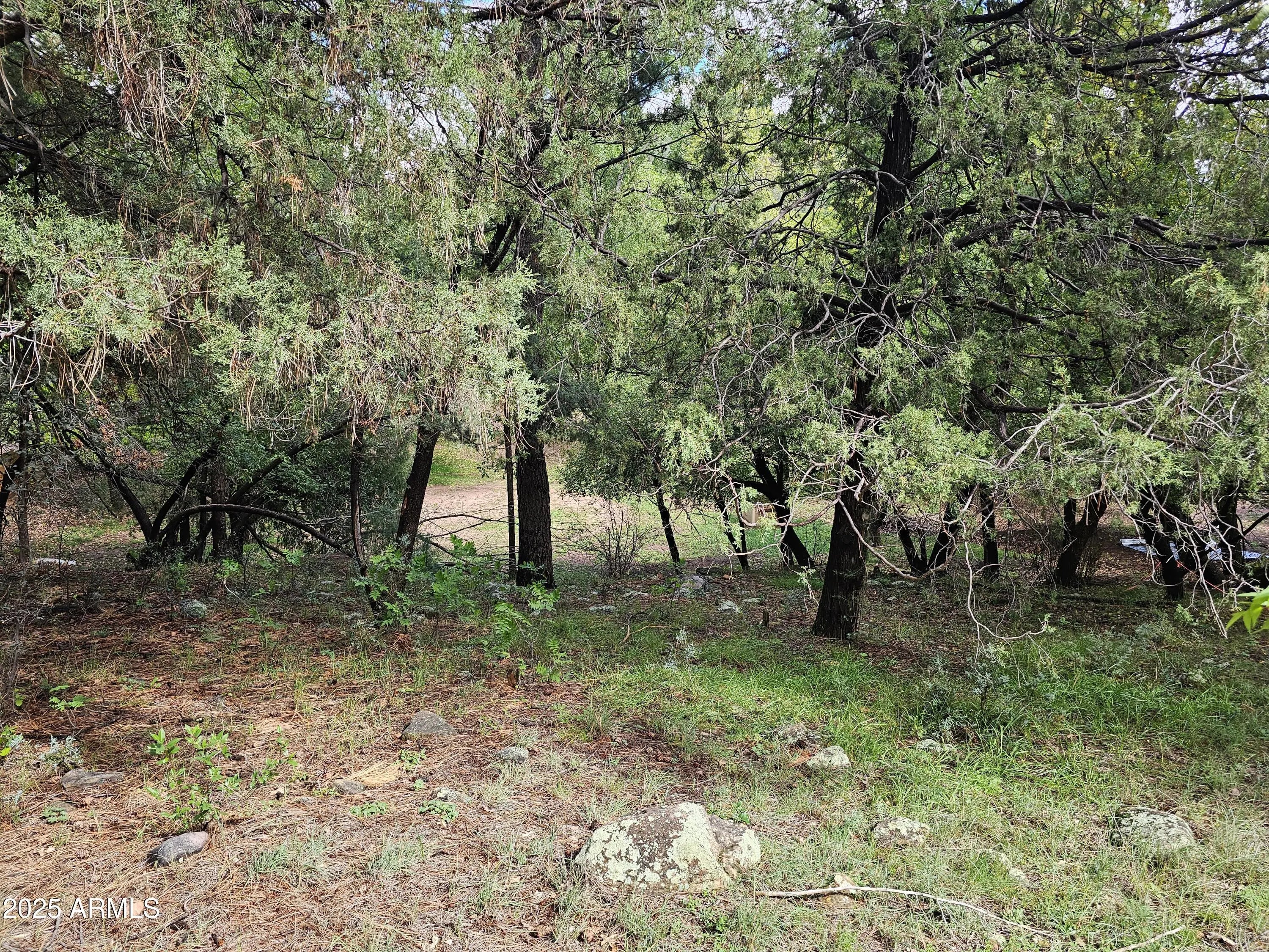 Photo of Listing #6933247