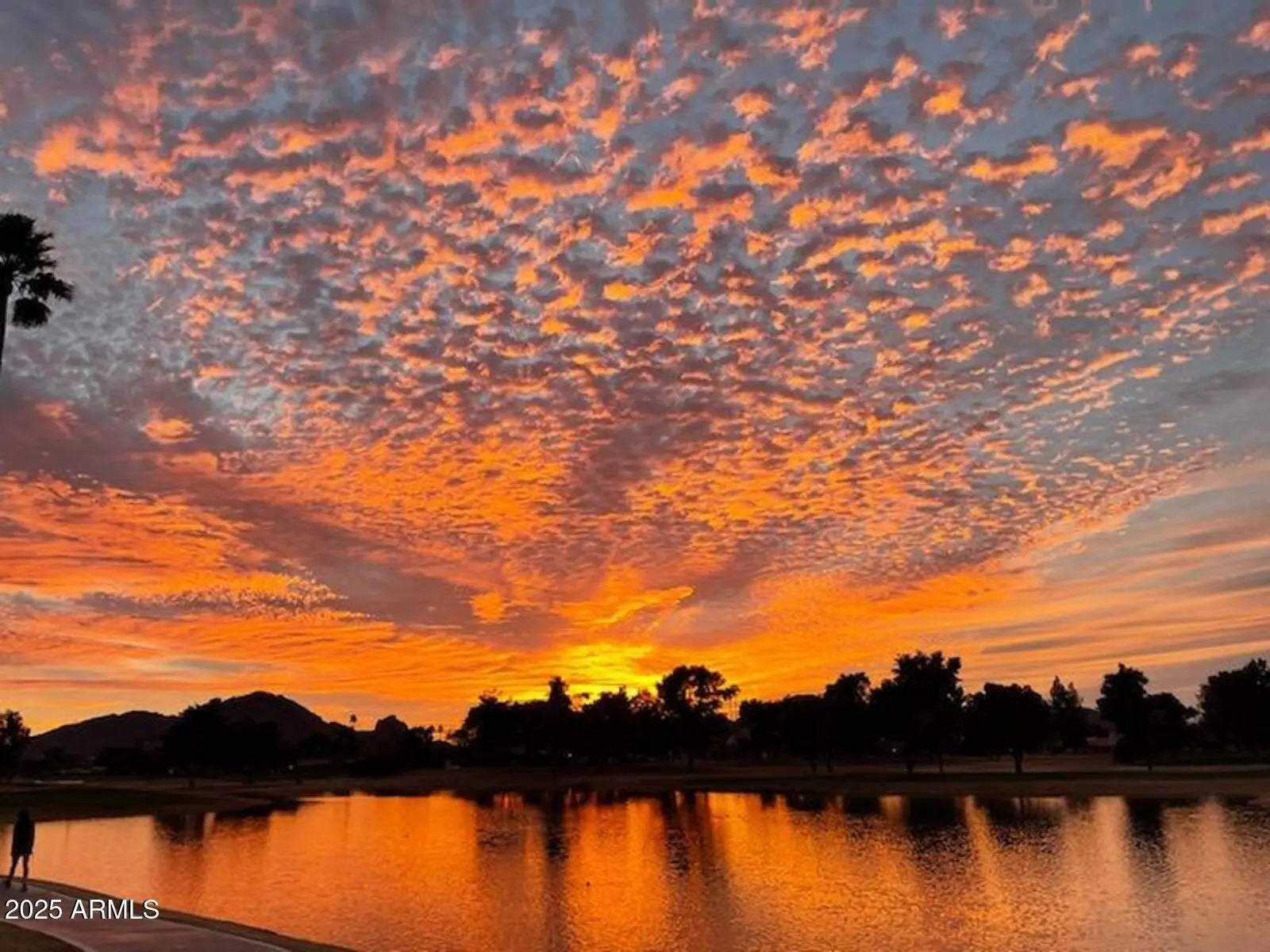 Photo of Listing #6933513