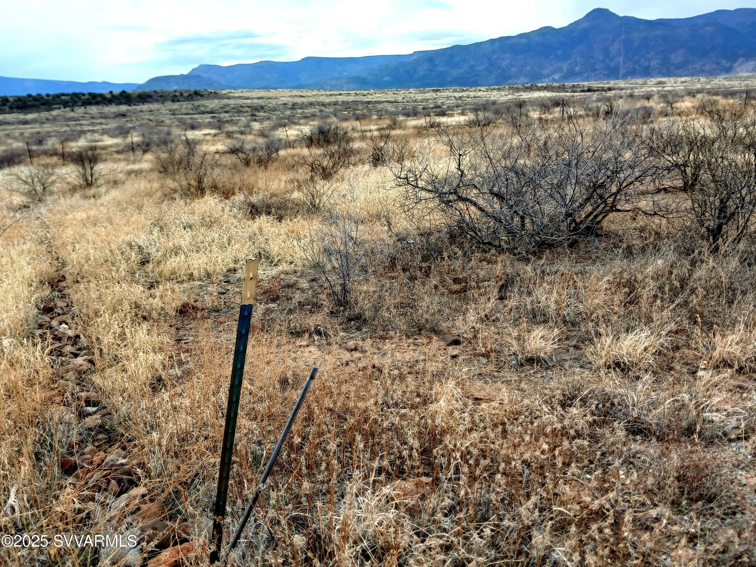 Photo of Listing #6933604