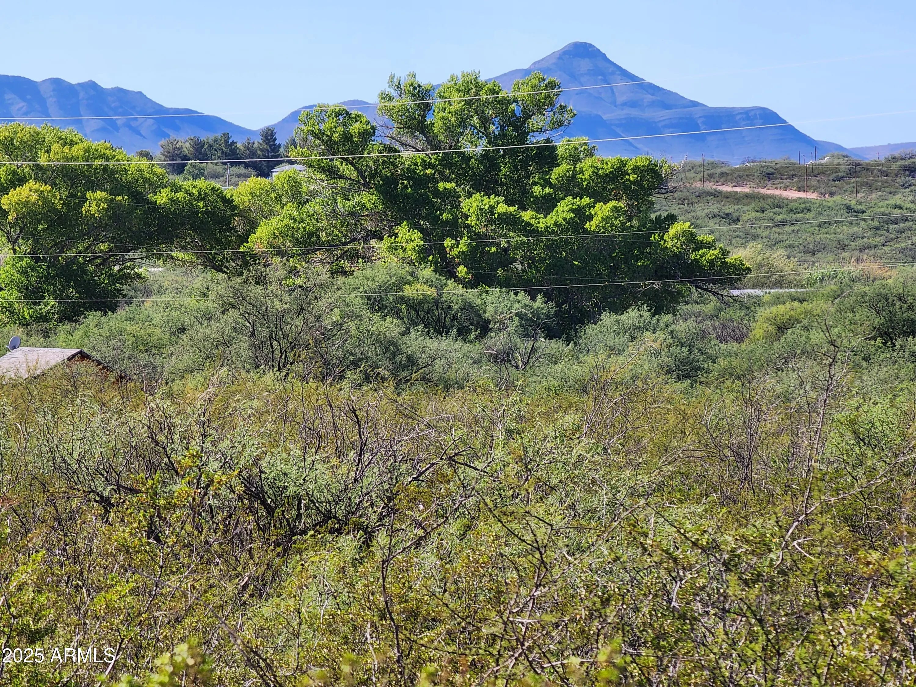 Photo of Listing #6933908