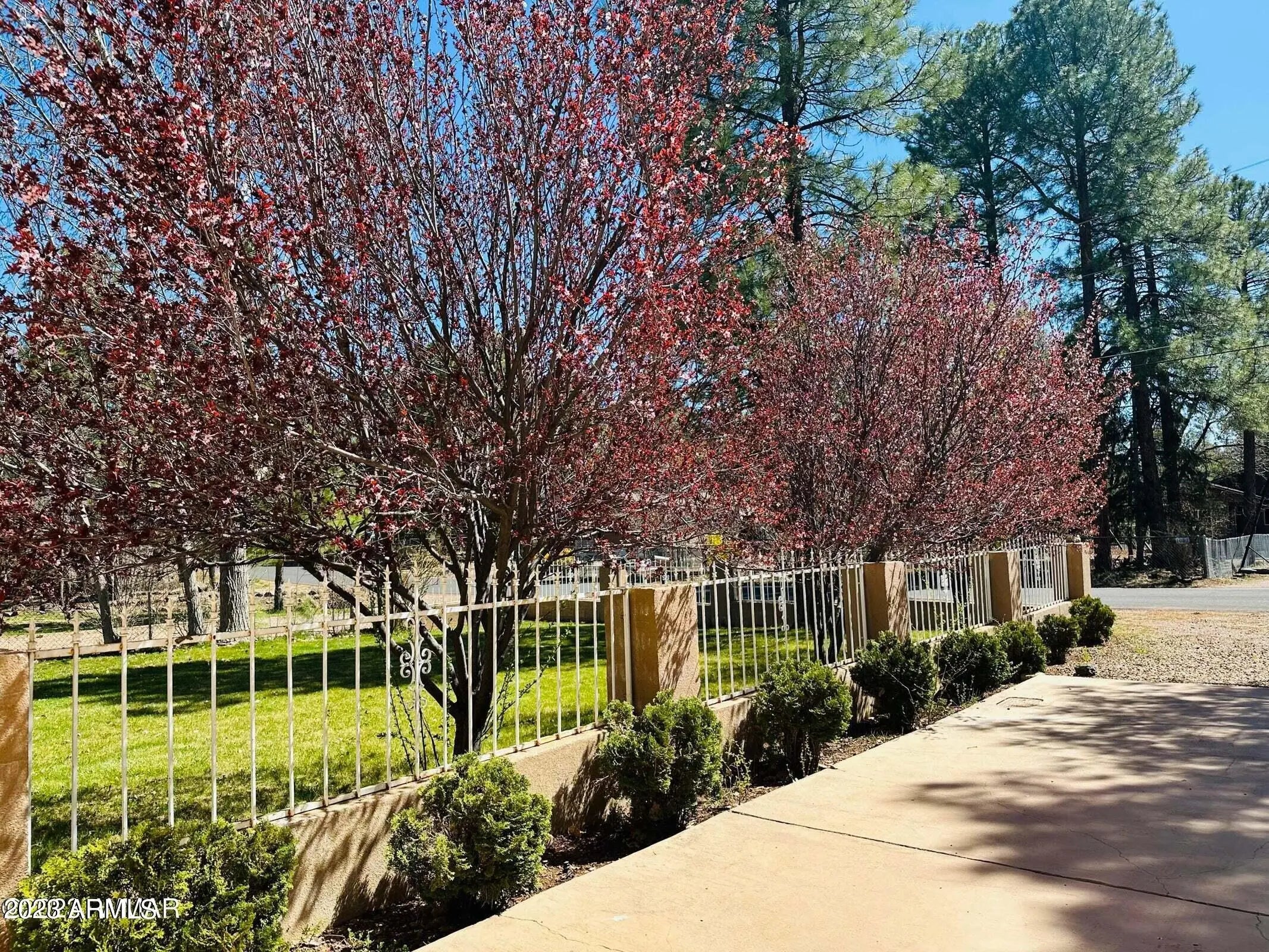 Photo of Listing #6936104