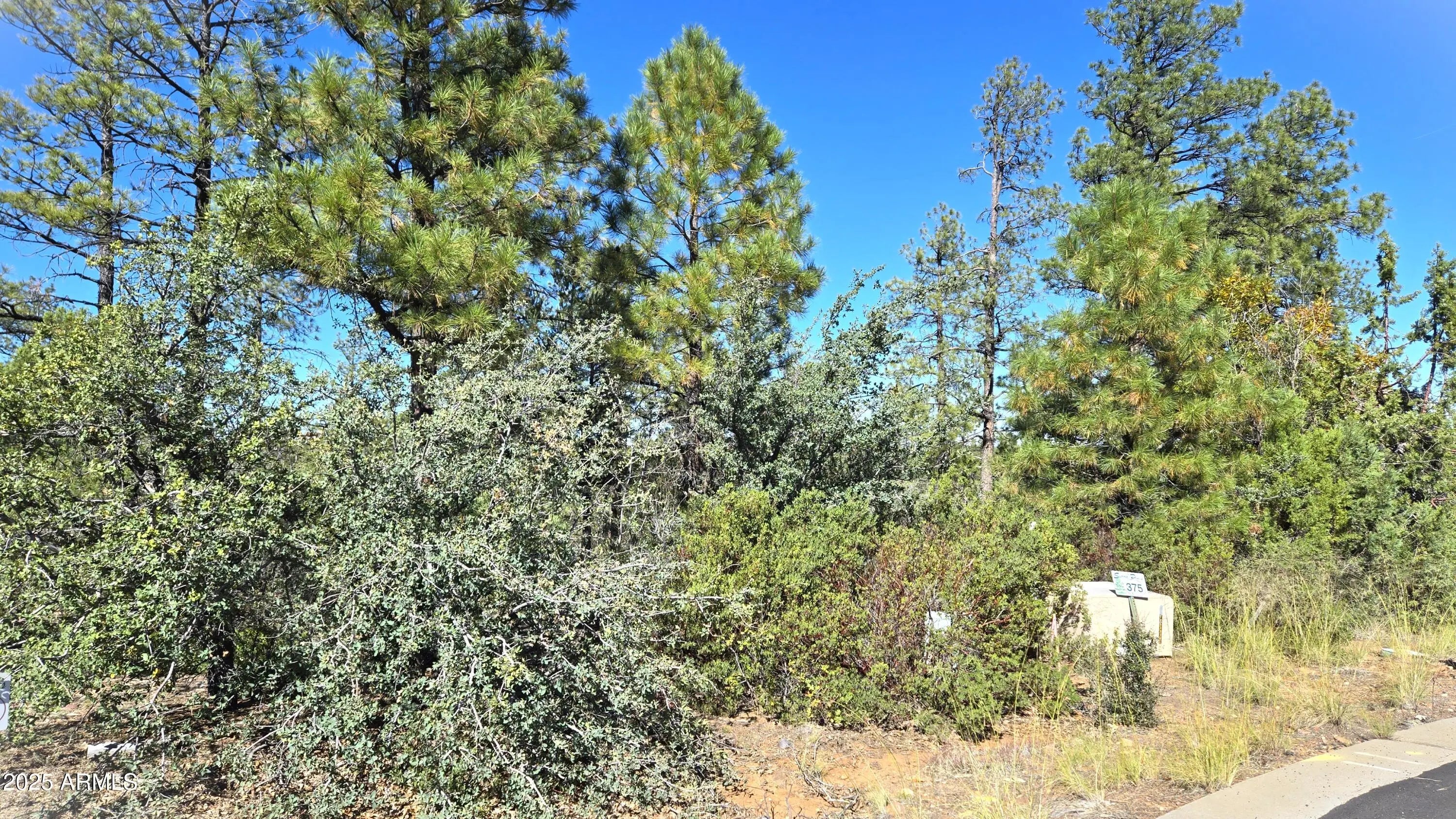 Photo of Listing #6936141