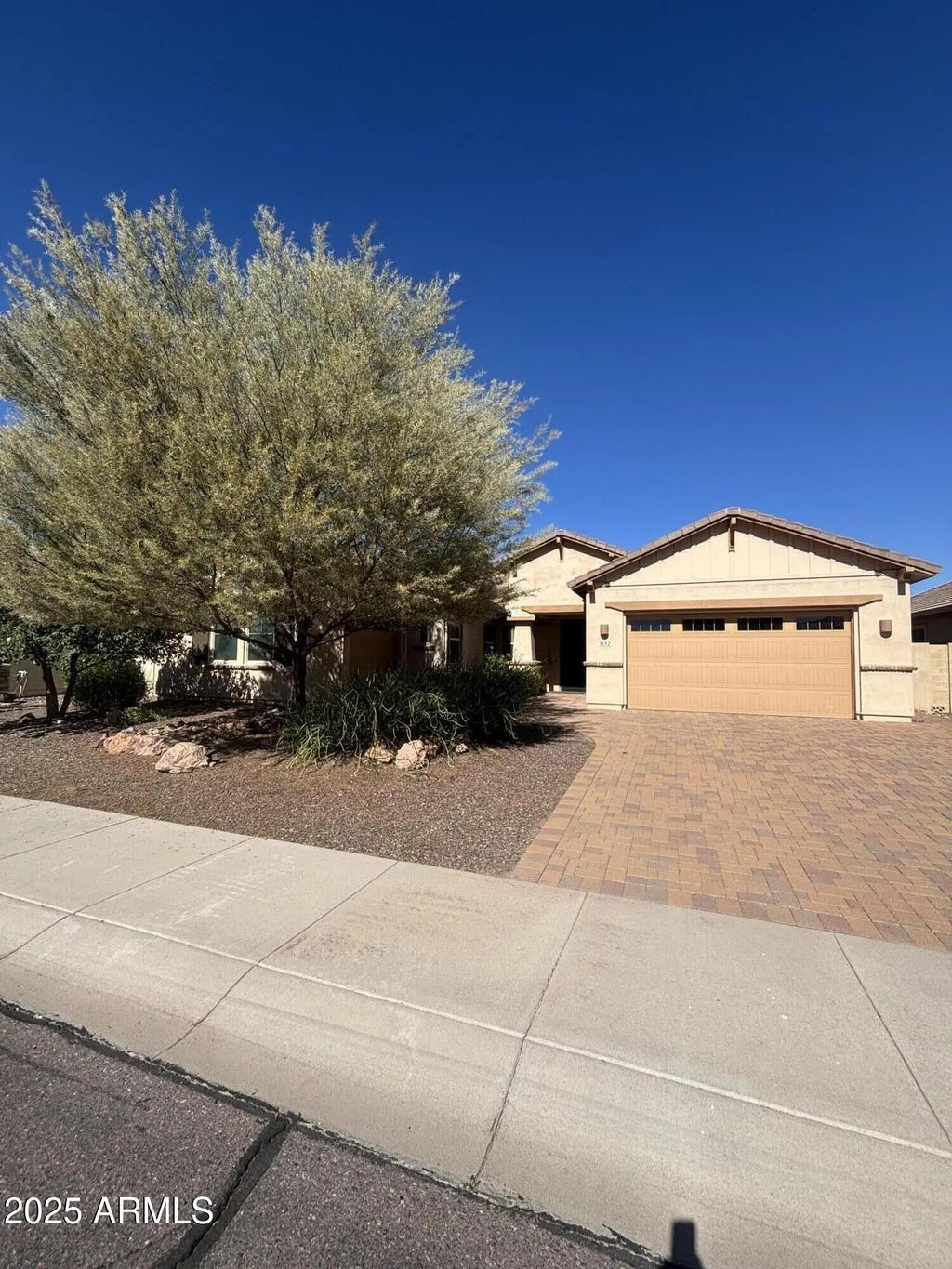 1142 E Bajor Street, Gilbert