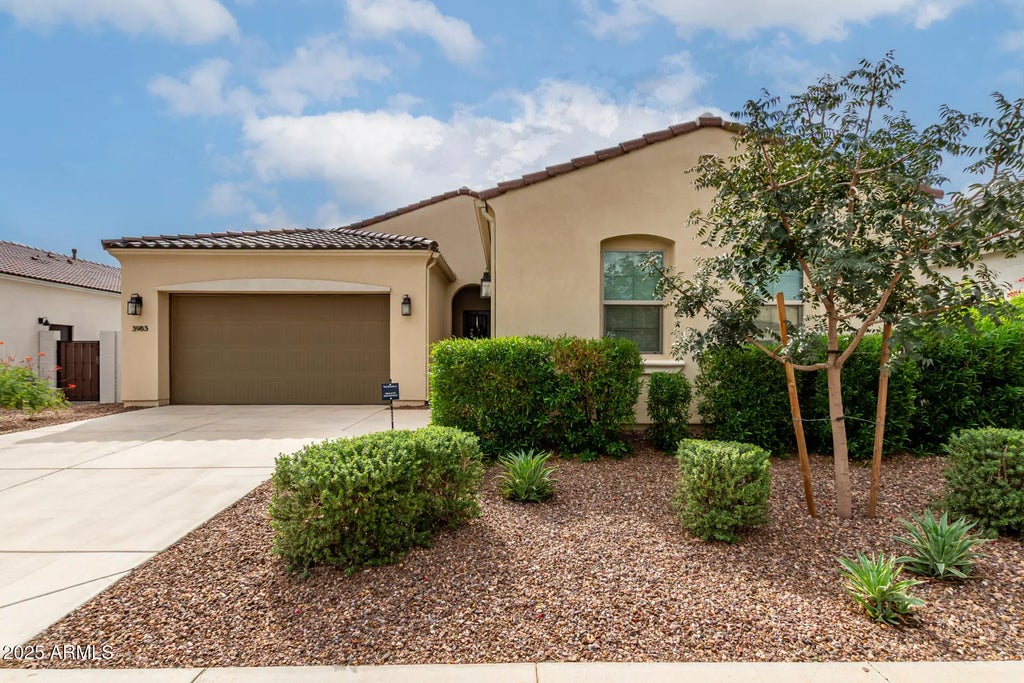 3983 W Serpentine Drive, San Tan Valley