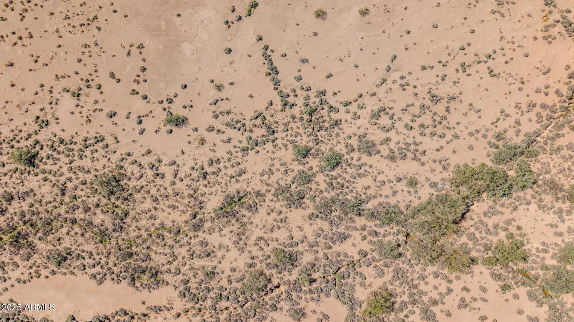 Photo of Listing #6938504