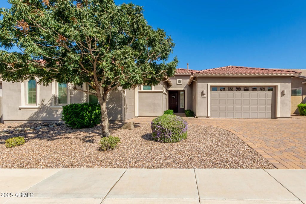 3522 E Dogwood Drive, Chandler