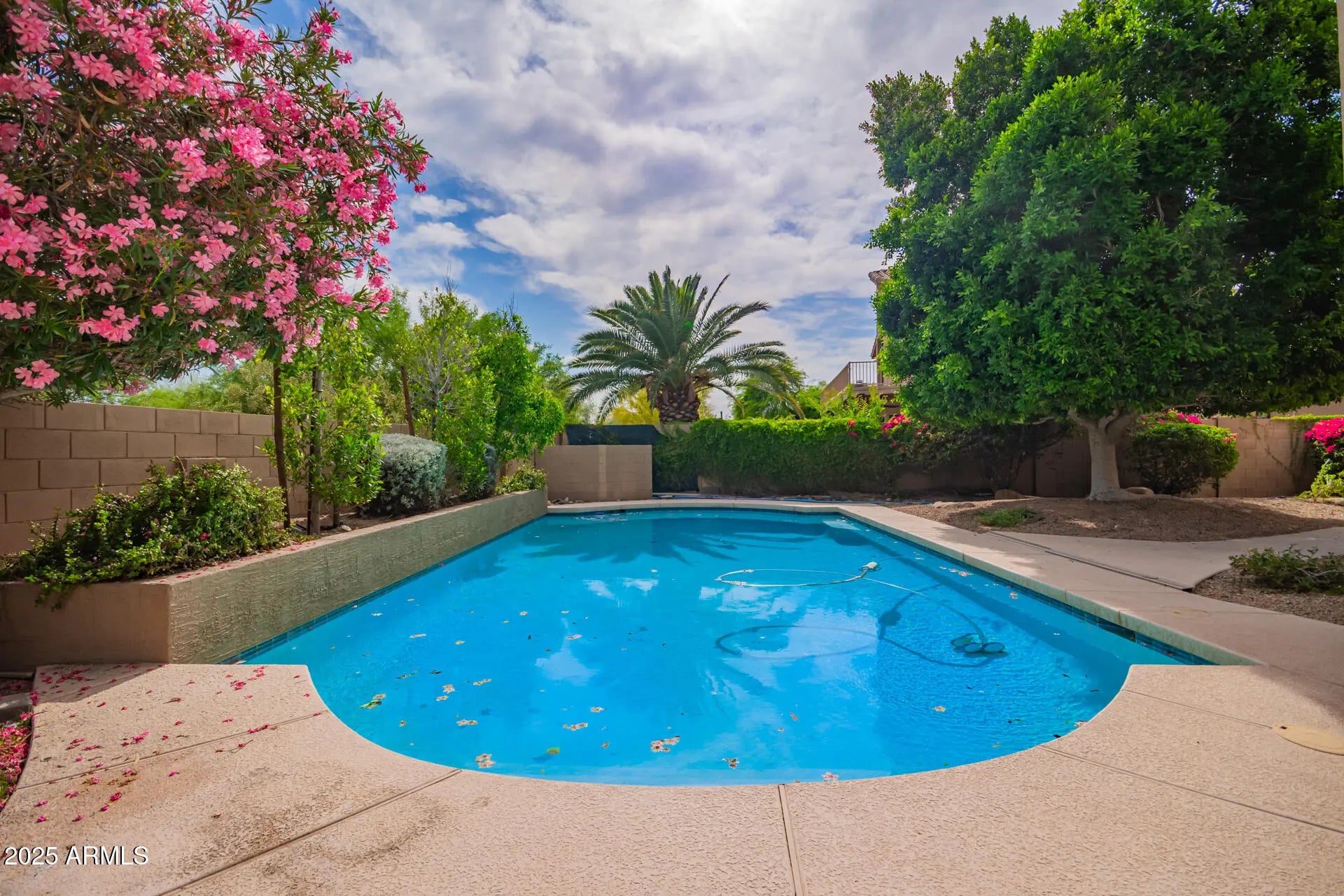 Photo of Listing #6939656