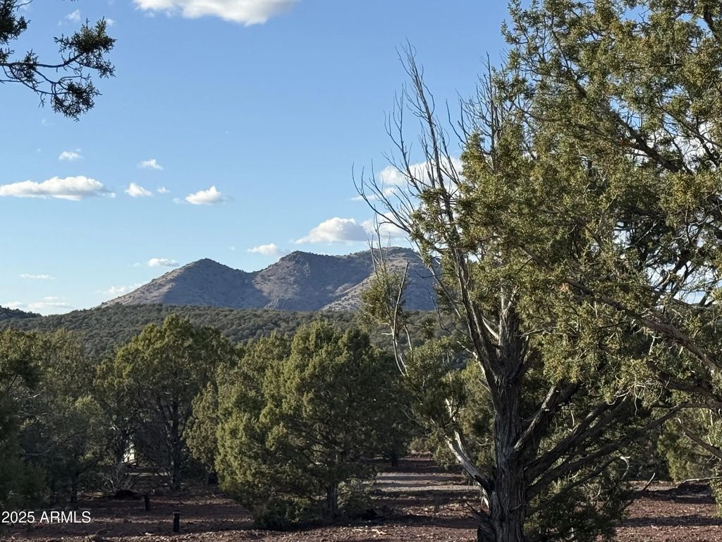 17375 Beale Wagon Road (unit 458 And 457), Williams