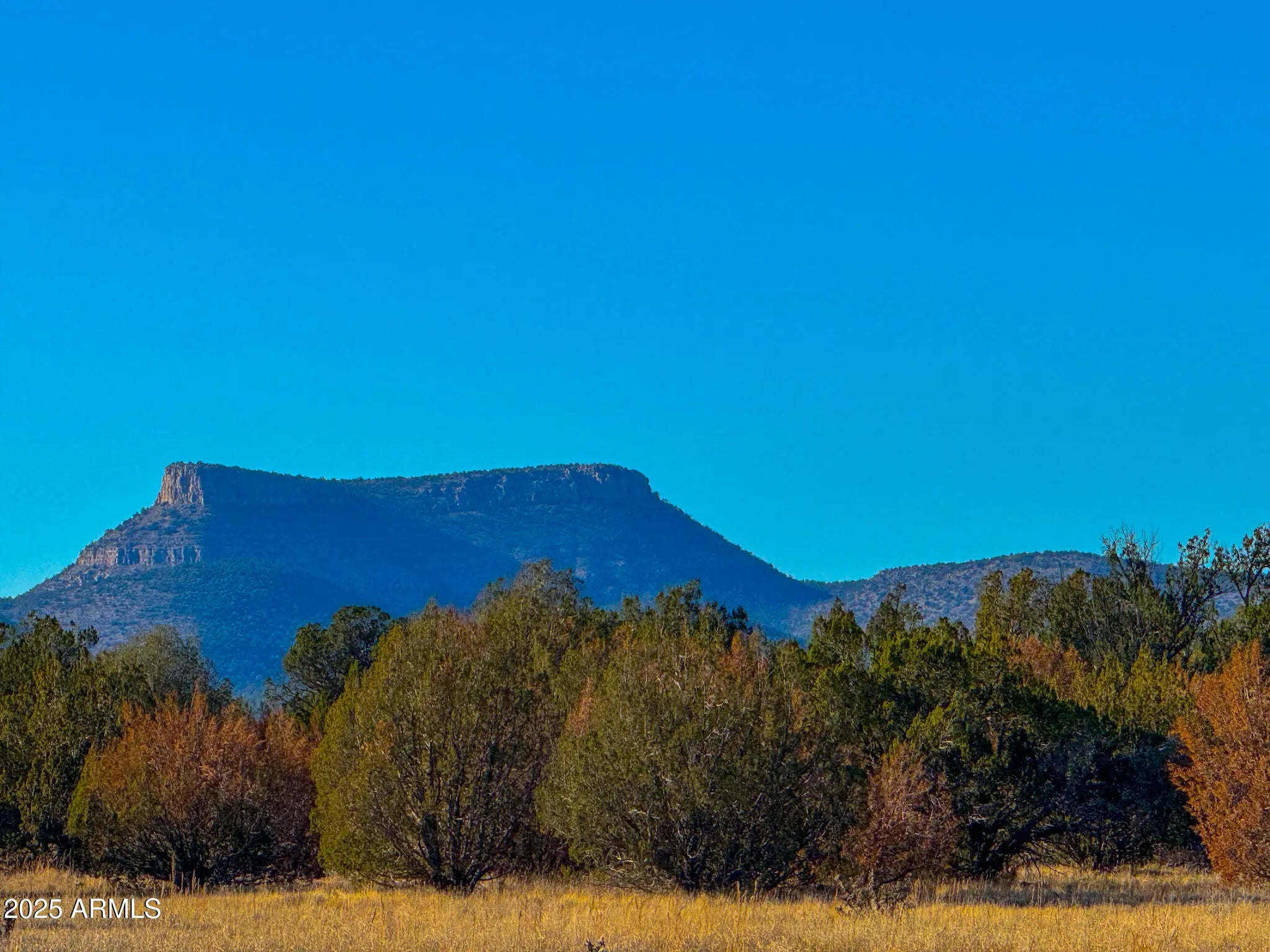 Photo of Listing #6941616