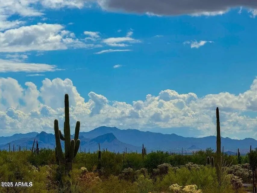 Photo of Listing #6942441