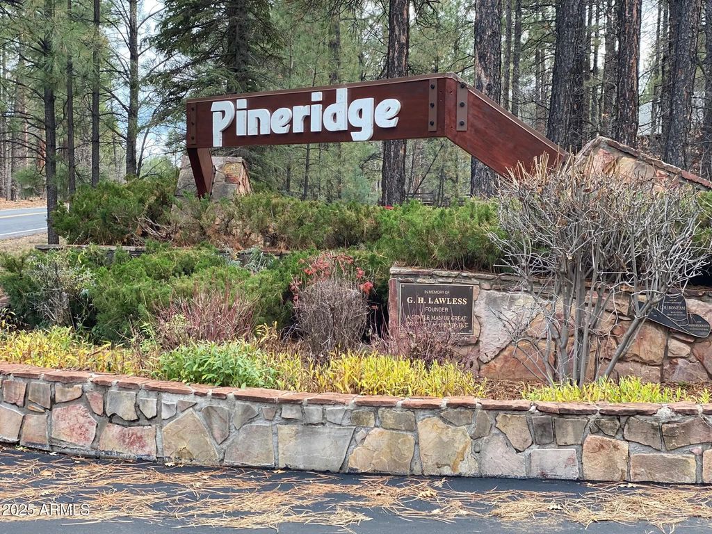2189 Creekside Court (unit 19), Pinetop