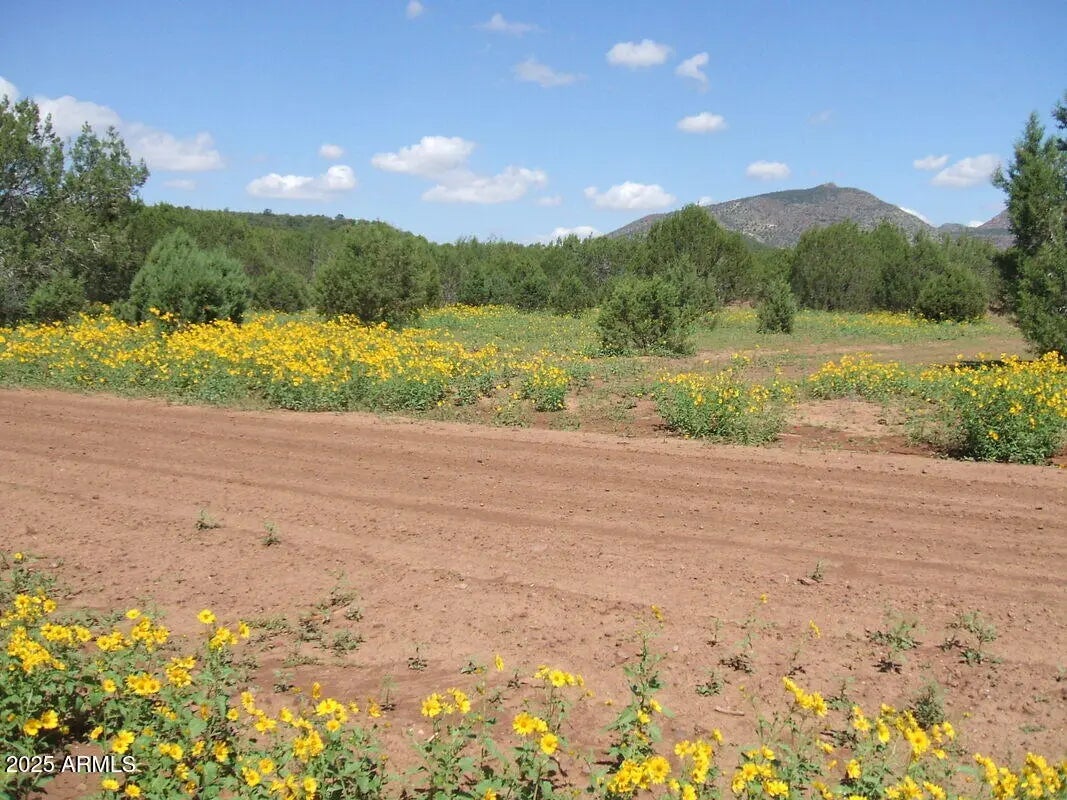 Photo of Listing #6942604