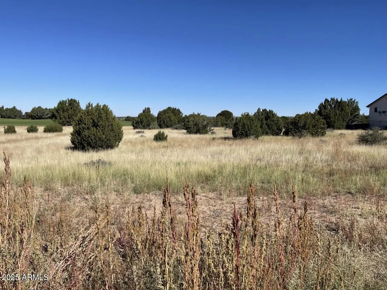 Photo of Listing #6943000