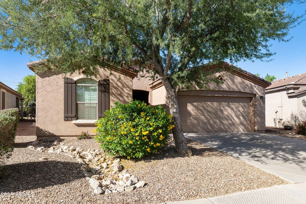 4245 E Ficus Way, Gilbert