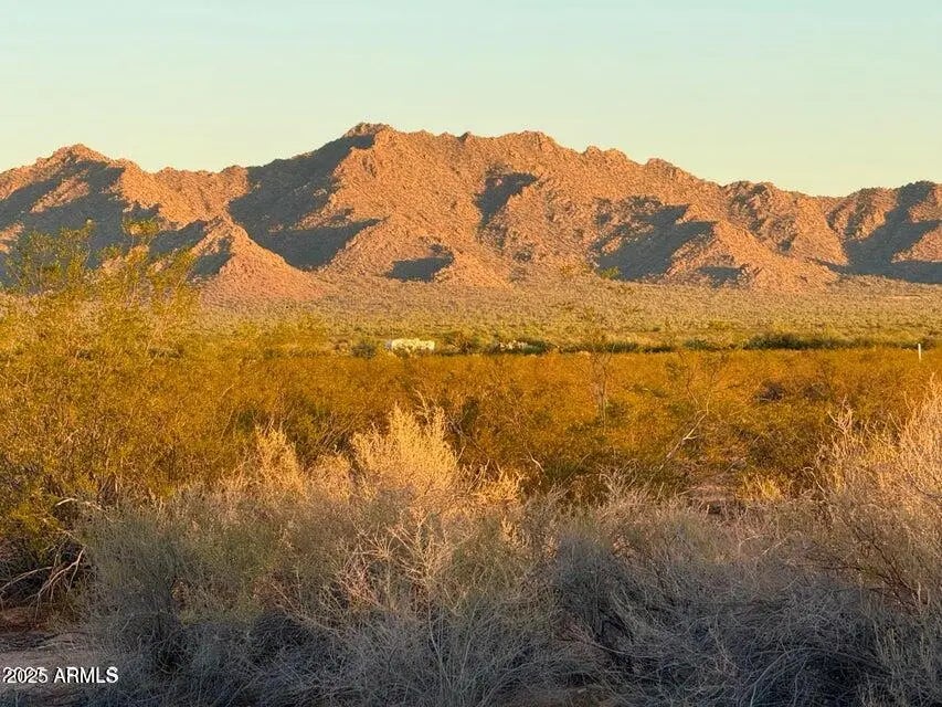 Photo of Listing #6943464