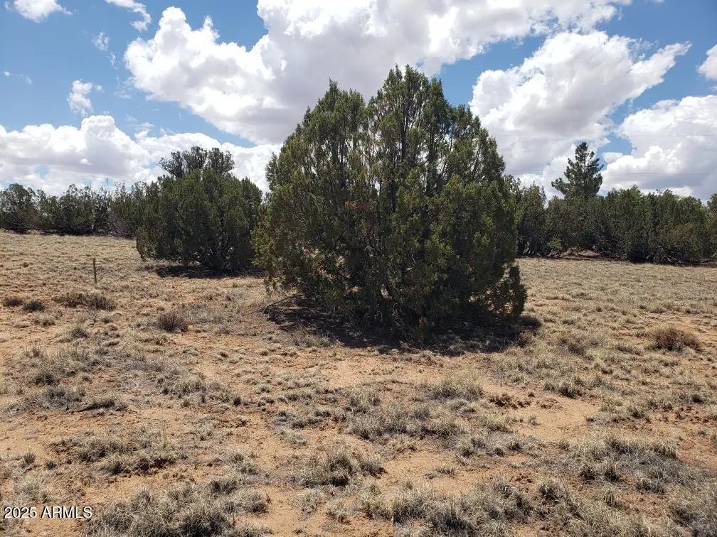 Photo of Listing #6946218