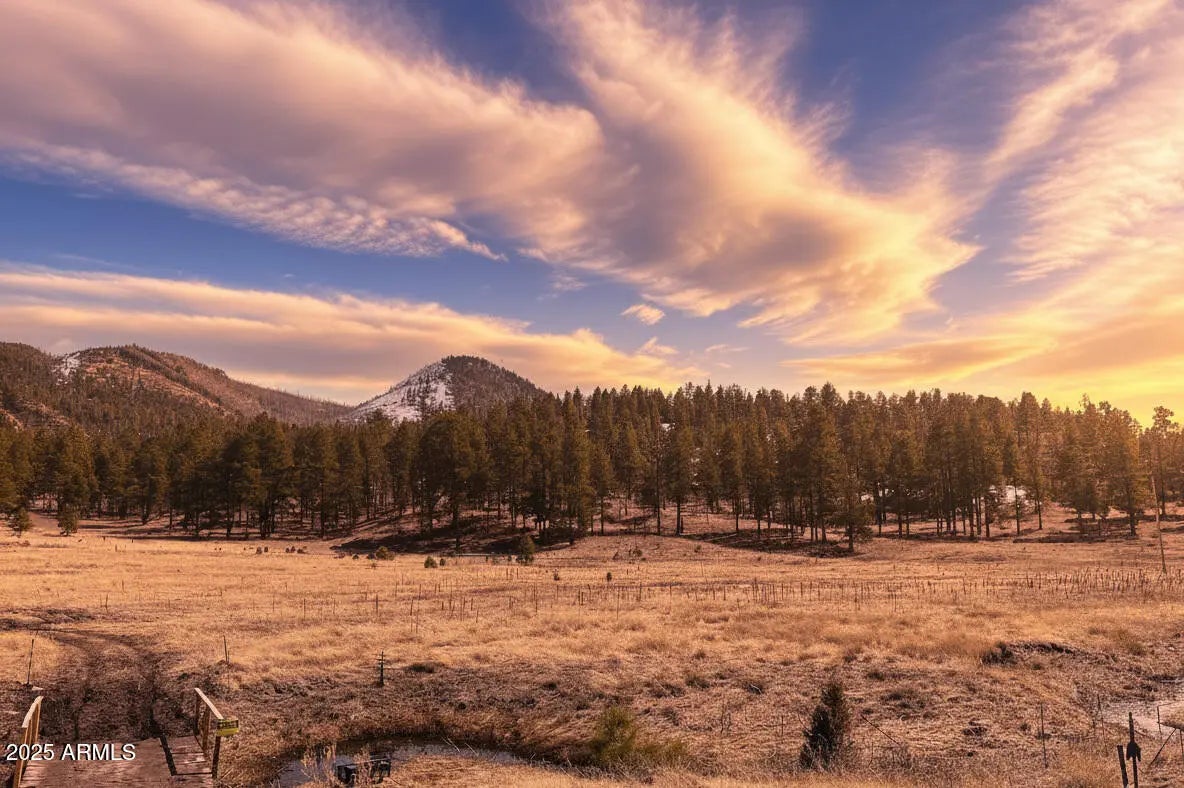 Photo of Listing #6949229