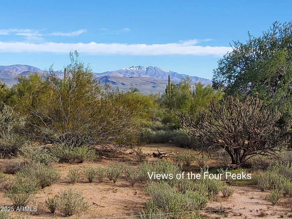 S 168th Street, Rio Verde