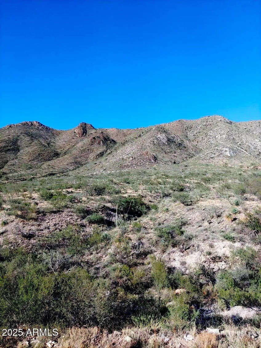 Photo of Listing #6948935