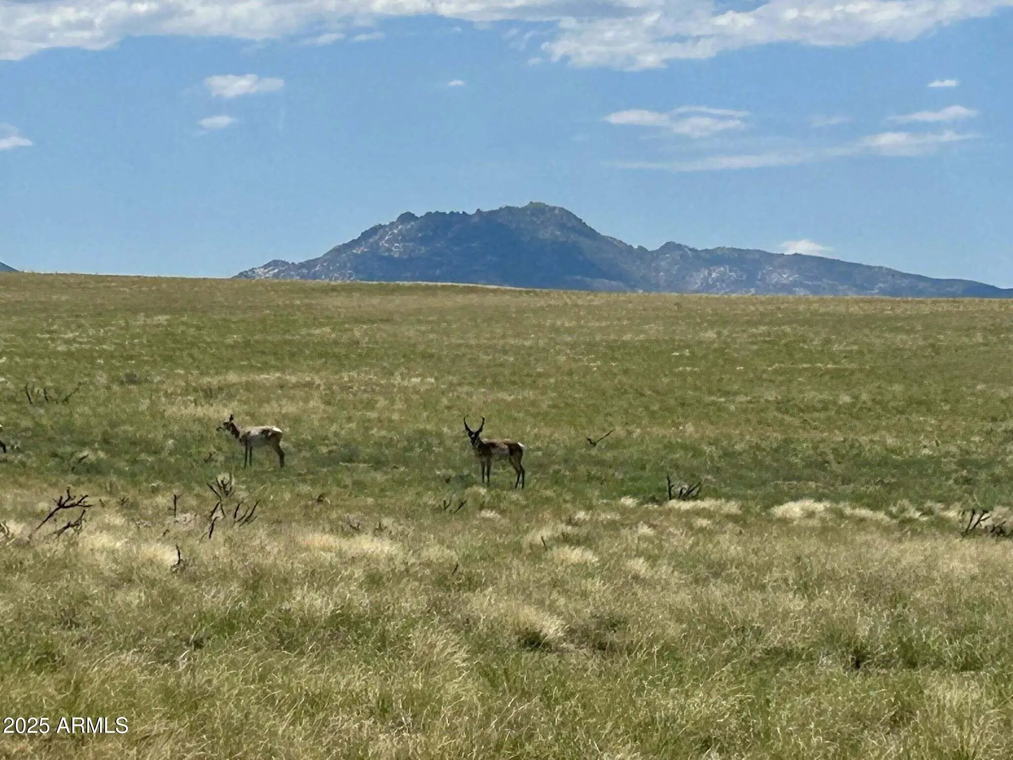 Photo of Listing #6949320