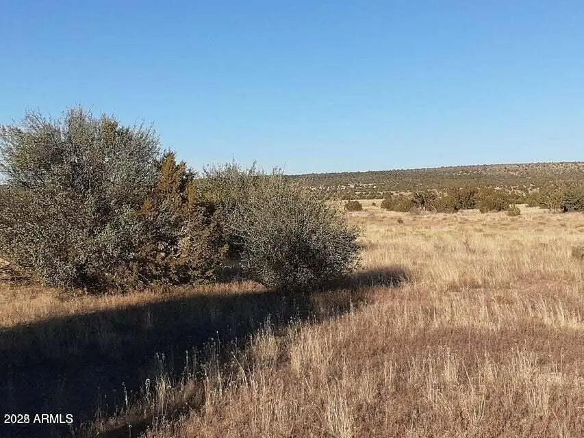 Photo of Listing #6949340