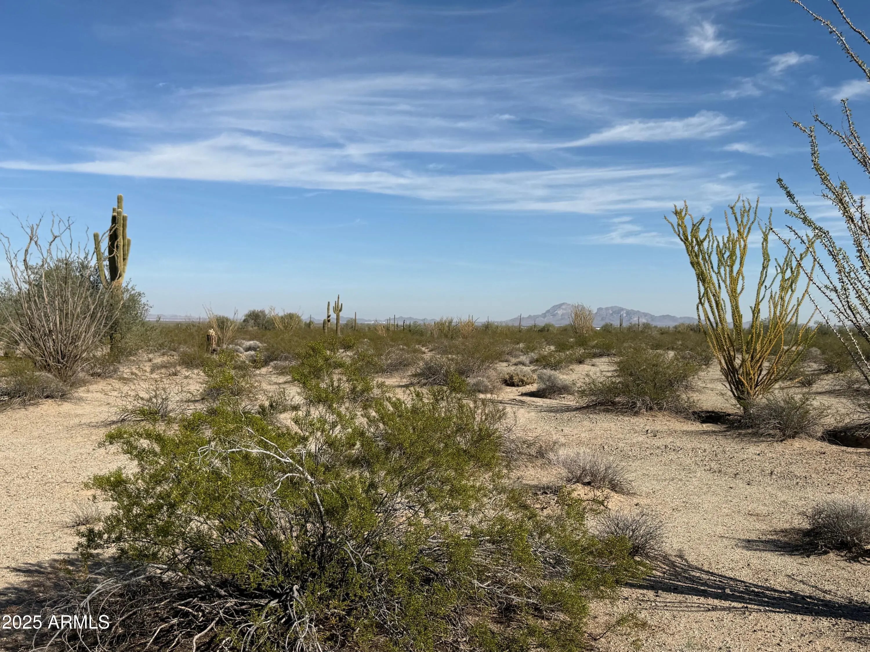 Photo of Listing #6949473