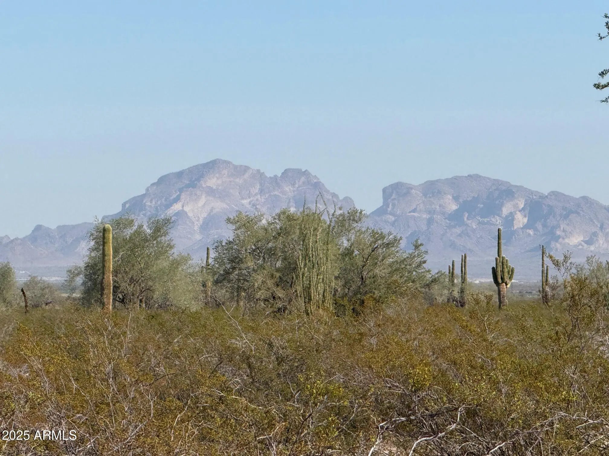 Photo of Listing #6949486