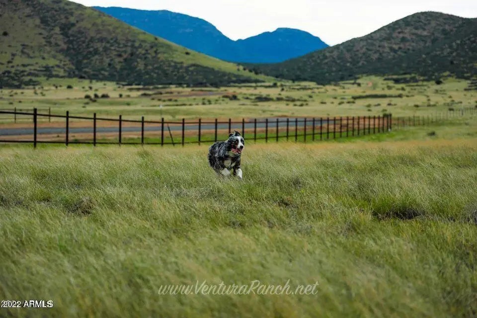 Photo of Listing #6949842