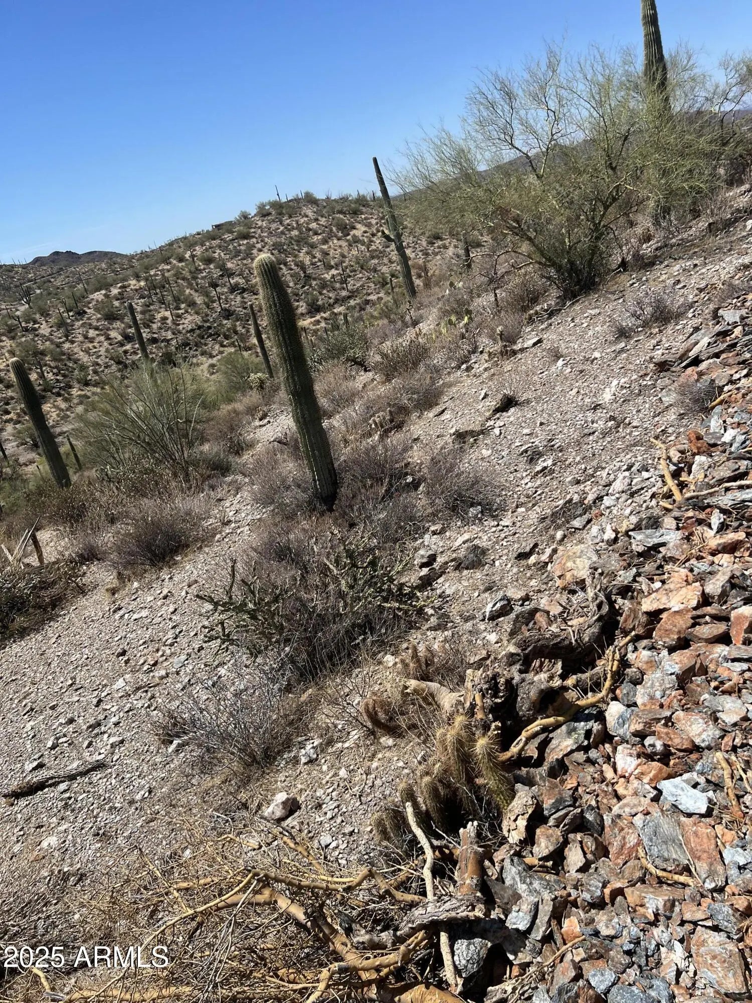 Photo of Listing #6950570