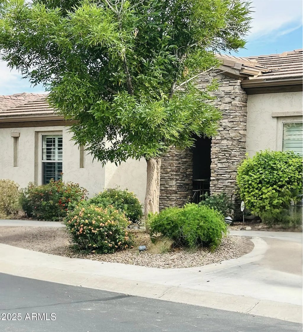 4271 E Sourwood Drive, Gilbert