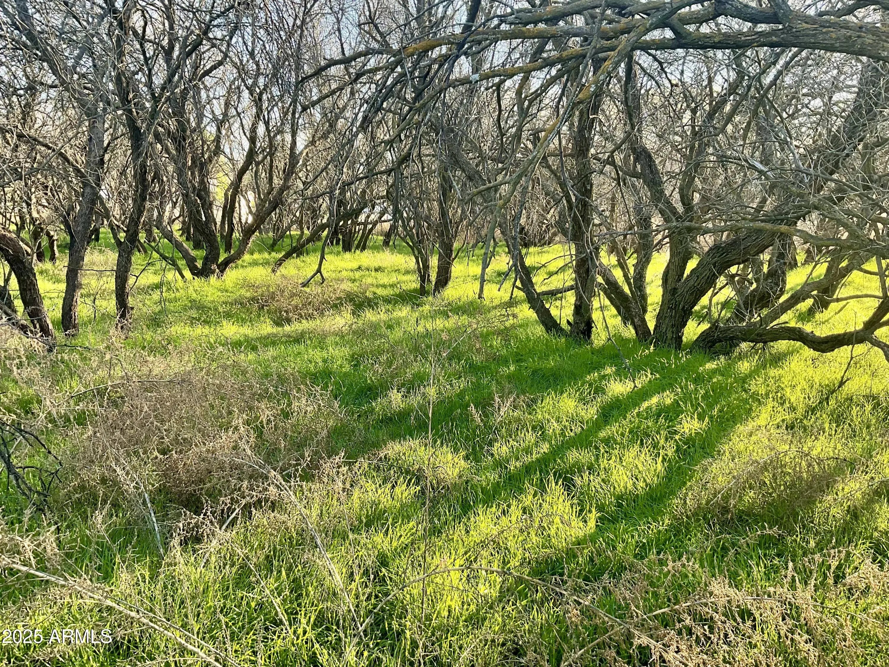 Photo of Listing #6951560