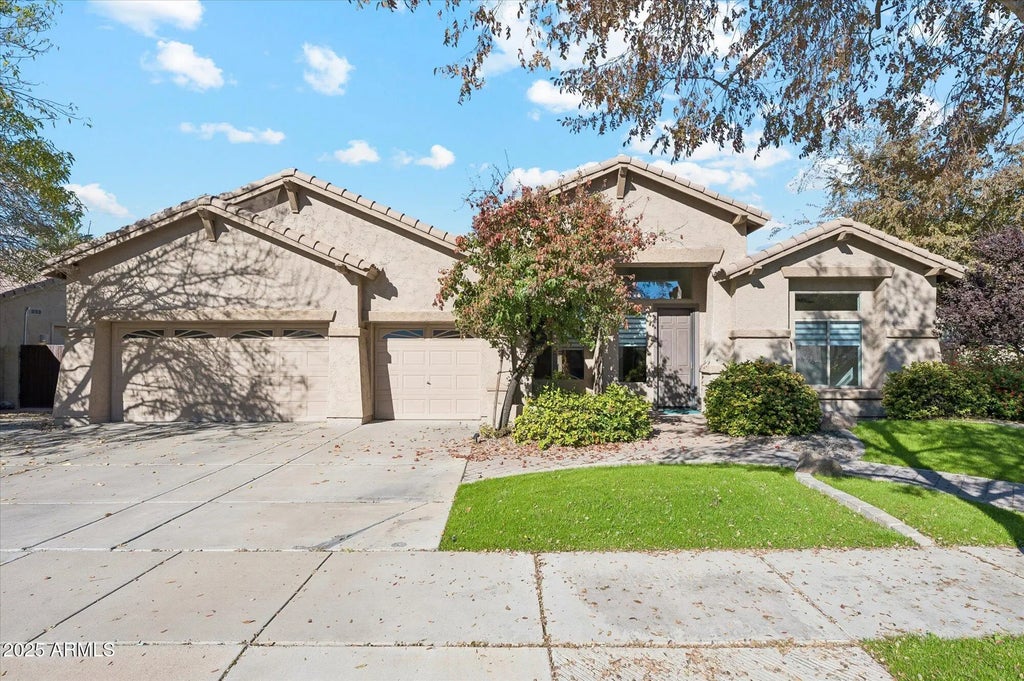 362 W Macaw Drive, Chandler