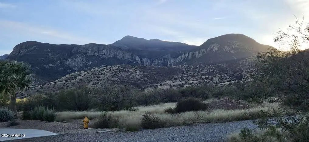 Photo of Listing #6957467