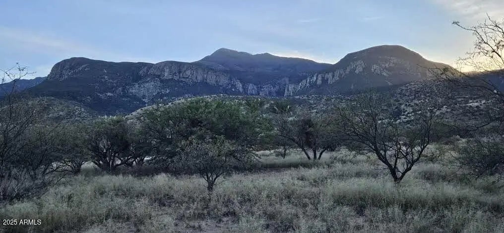 Photo of Listing #6957470