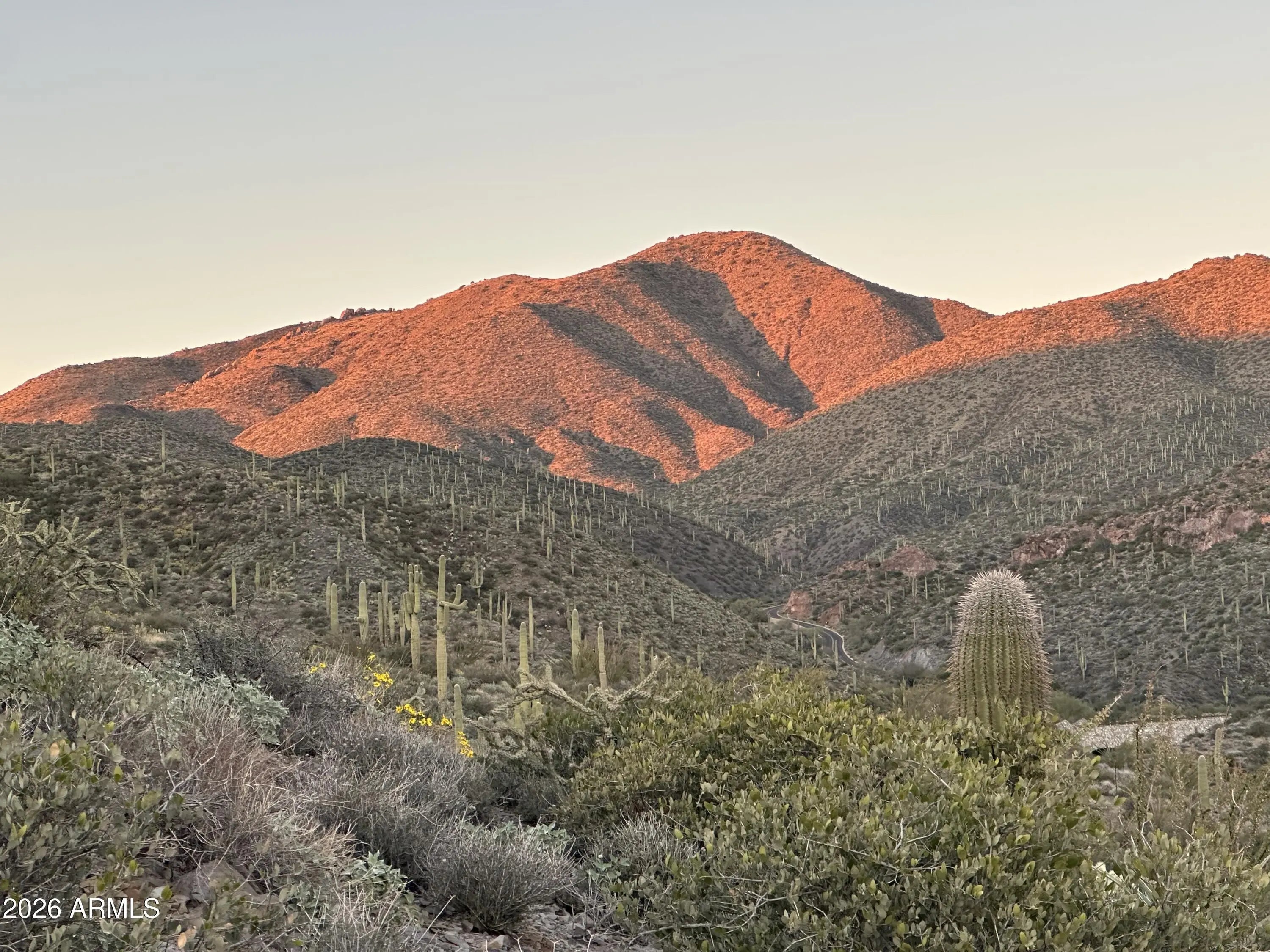 Photo of Listing #6972303