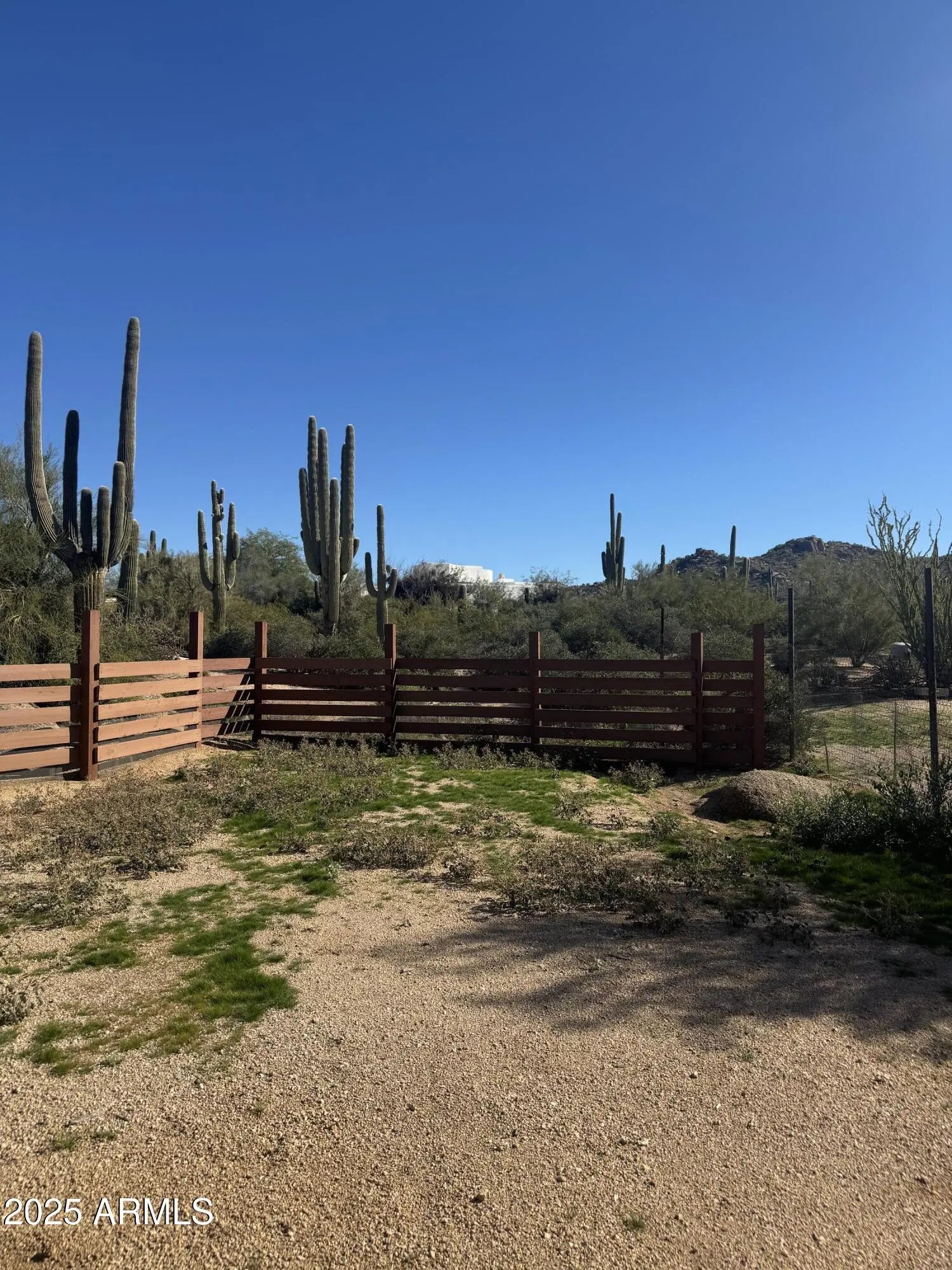 Photo of Listing #6955285