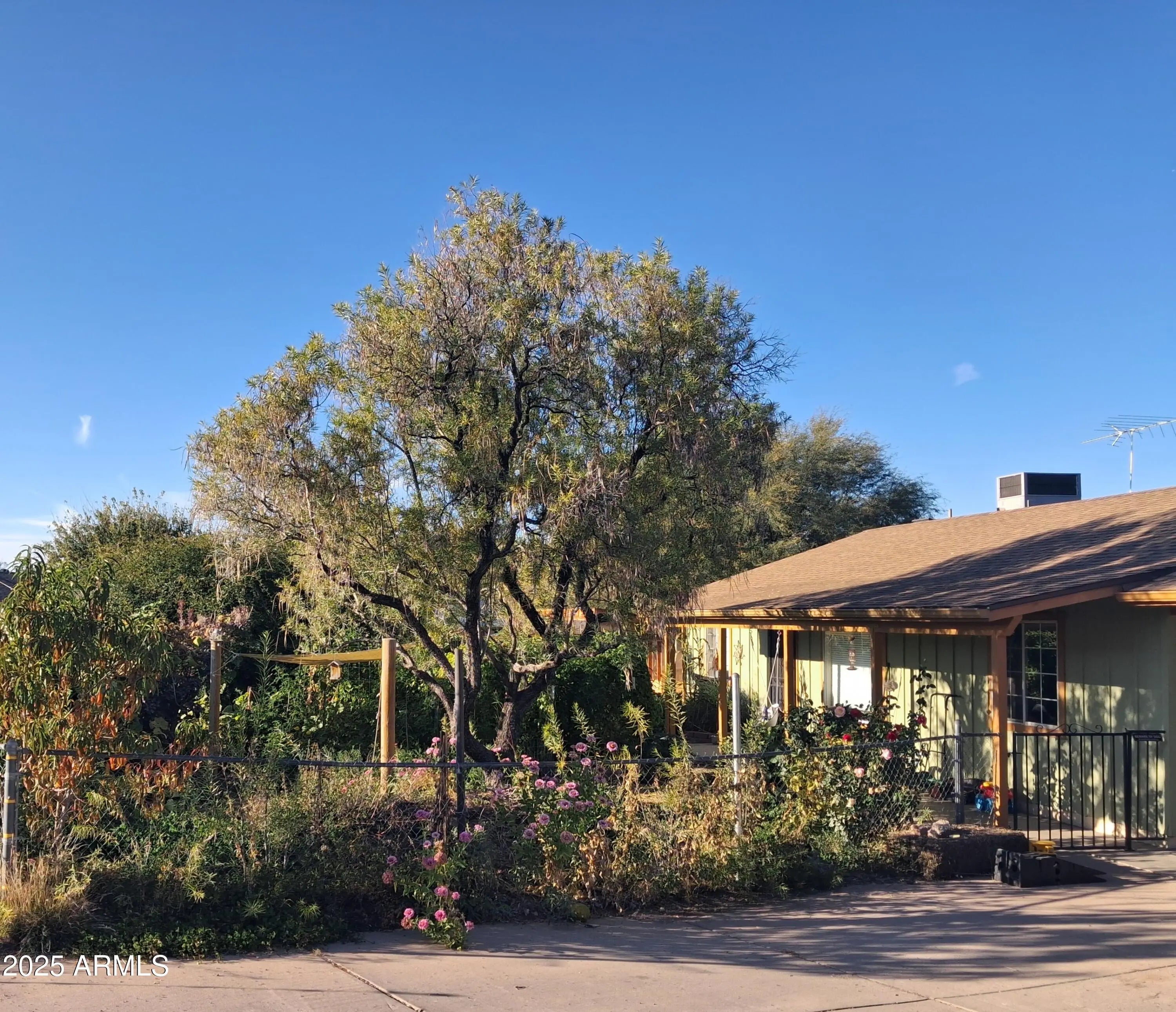 Photo of Listing #6955292