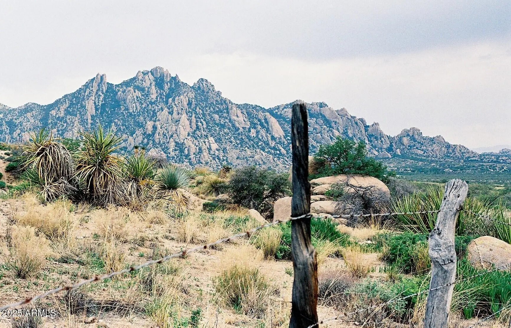 Photo of Listing #6956661